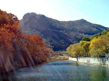 天天彩好彩天天免费，佛山发电机出租